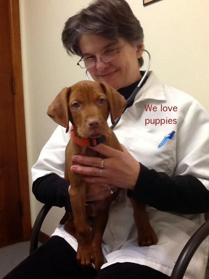 Angelcare Animal Hospital | 6915 Washington Ave, Mt Pleasant, WI 53406, USA | Phone: (262) 886-3337