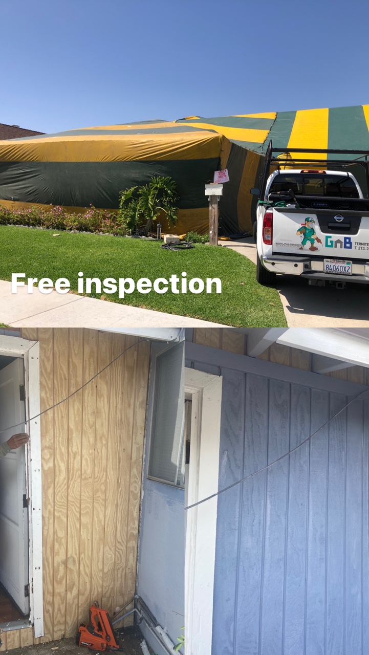 GNB Pest Control & Termite | 17420 Avalon Blvd, Carson, CA 90746, USA | Phone: (833) 562-1109