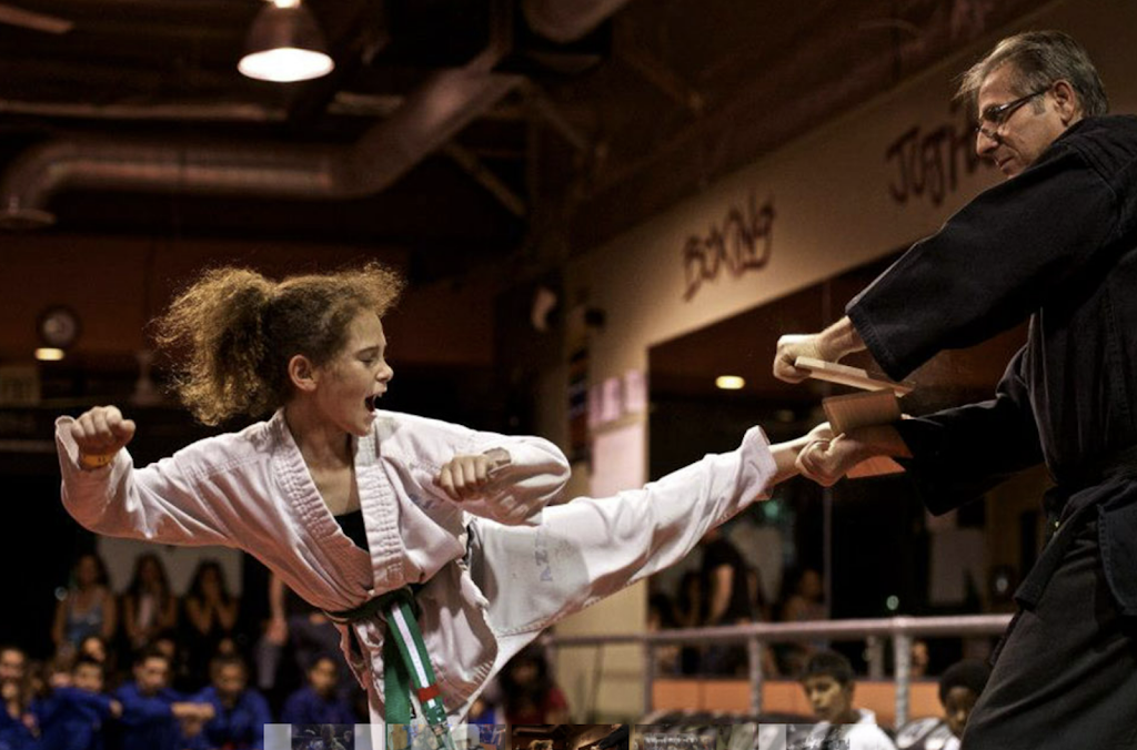 Aziz Mixed Martial Arts Inc | 24372 Vanowen St, West Hills, CA 91307, USA | Phone: (818) 702-6822