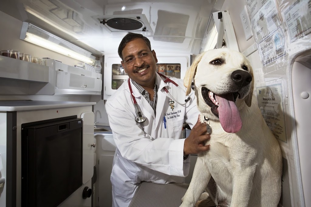 Sai Mobile Veterinary Clinic | 3043 Sweetviolet Dr, San Ramon, CA 94582, USA | Phone: (510) 541-1006