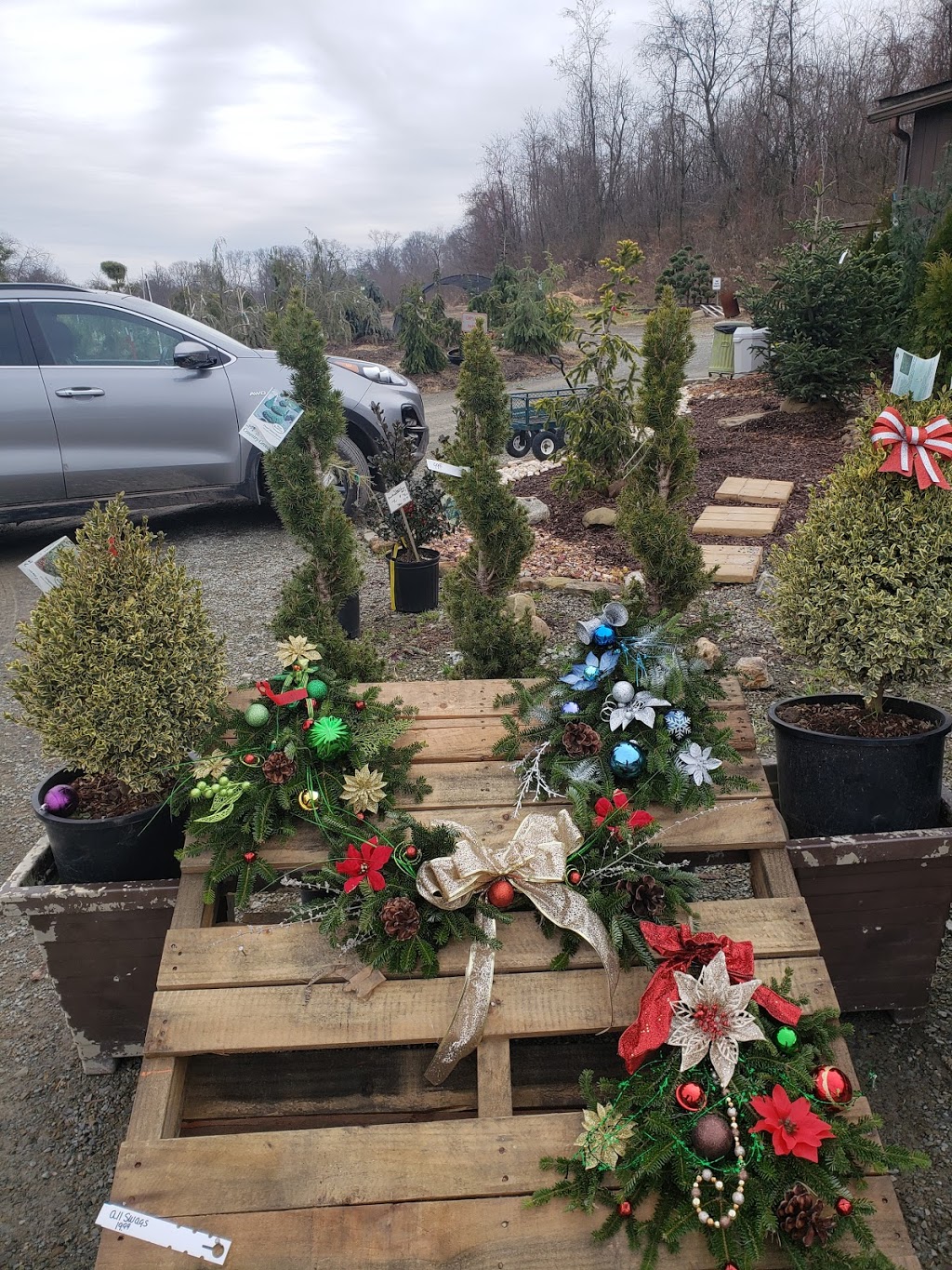 Grandview Nurseries, Inc. | 119 Tolvinski Lane, Irwin, PA 15642, USA | Phone: (724) 446-7673