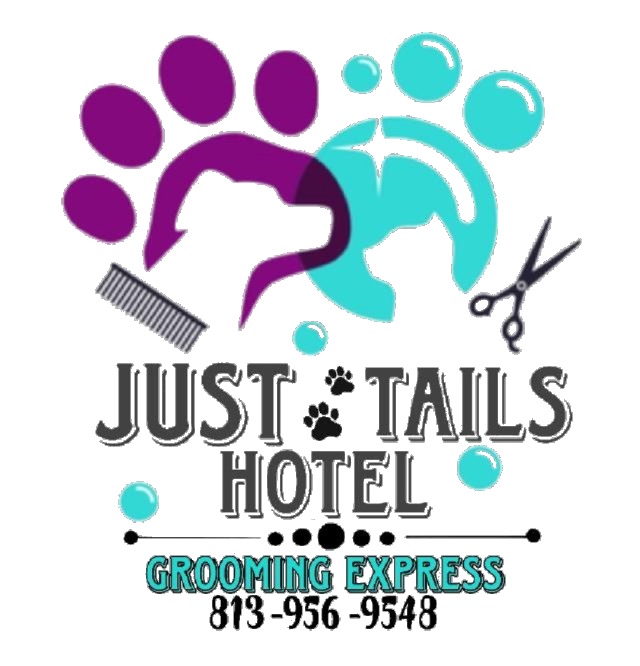 Just tails pet hotel | 15412 Montilla Loop, Tampa, FL 33625, USA | Phone: (813) 956-9548