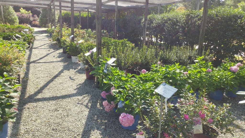 Gossetts Landscape Nursery | 7801 Clinard Farms Rd, High Point, NC 27265 | Phone: (336) 454-2548