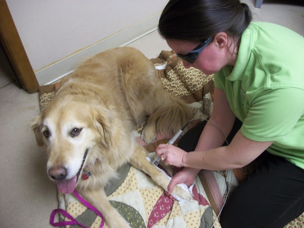 Green Valley Veterinary Hospital | 1722 PA-68, New Brighton, PA 15066, USA | Phone: (724) 452-6151