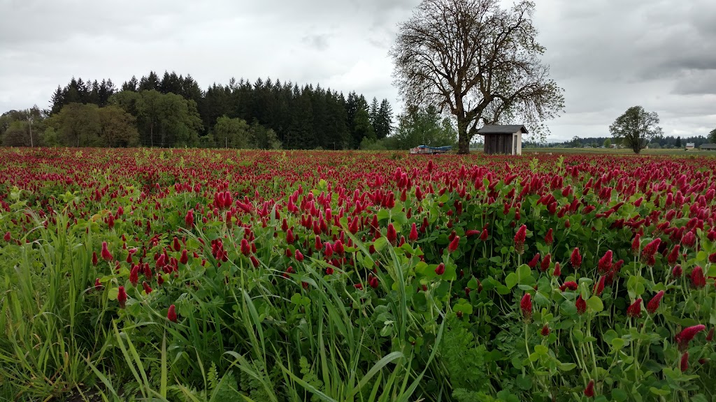 Hillsboro Trap & Skeet Club | 33295 NW Wren Rd, Hillsboro, OR 97124, USA | Phone: (503) 648-2972