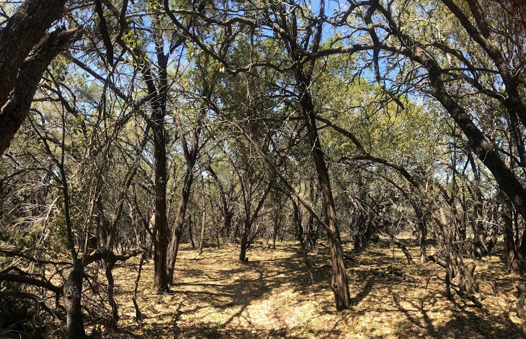 Muleshoe Bend Recreation Area | 2820 Co Rd 414, Spicewood, TX 78669, USA | Phone: (512) 473-3366