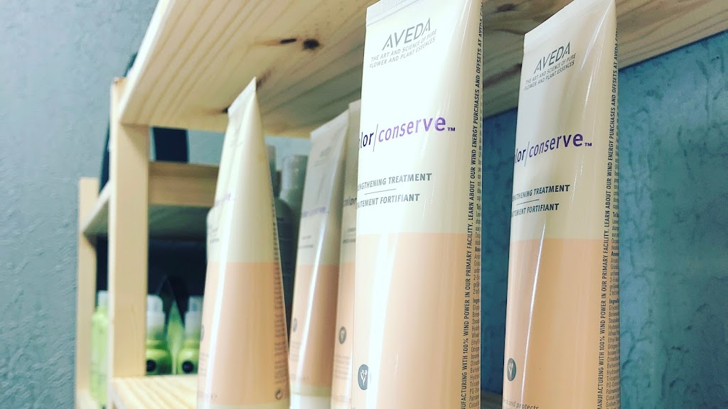 Salon Cattitude | 38119 Ann Arbor Rd, Livonia, MI 48150, USA | Phone: (734) 469-4154