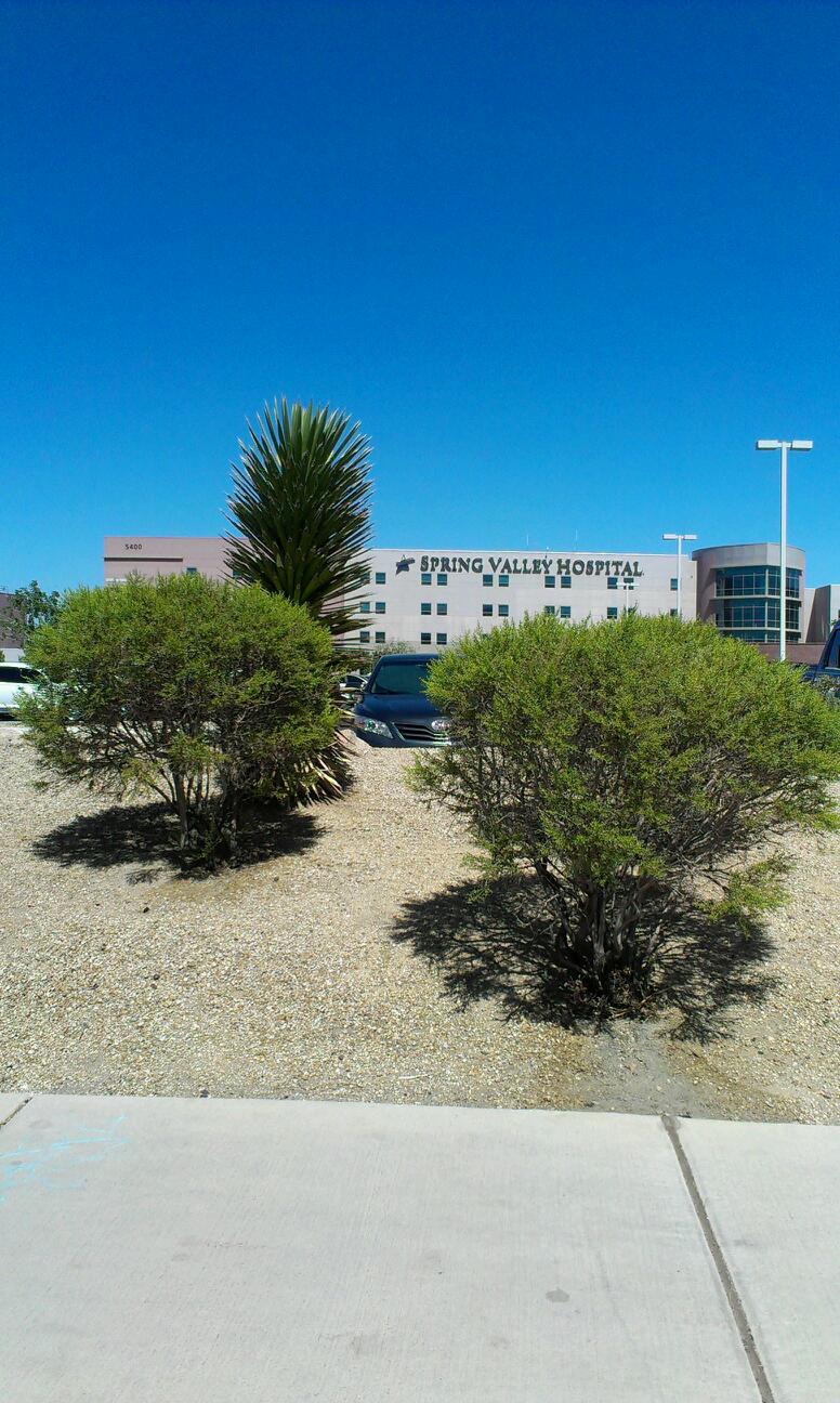 Spring Valley Hospital Medical Center | 5400 S Rainbow Blvd, Las Vegas, NV 89118, USA | Phone: (702) 853-3000