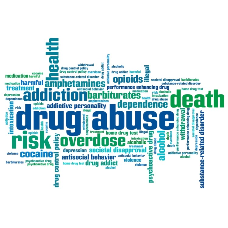 Reach Project Inc. | 3385 Main St B, Oakley, CA 94561, USA | Phone: (925) 679-2504