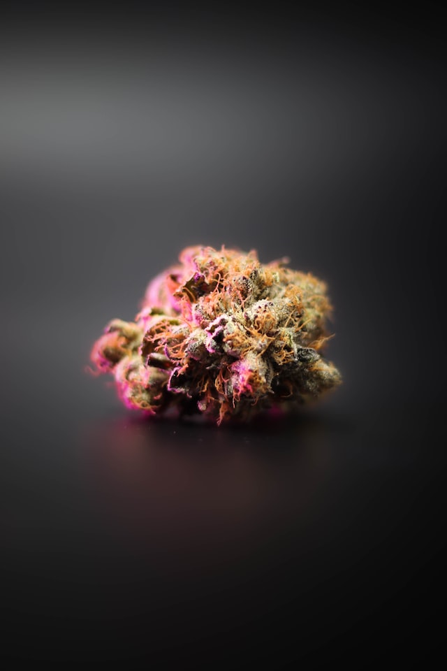 IgadI Marijuana Dispensary Lyons | 4170 Ute Hwy, Longmont, CO 80503 | Phone: (720) 790-8077