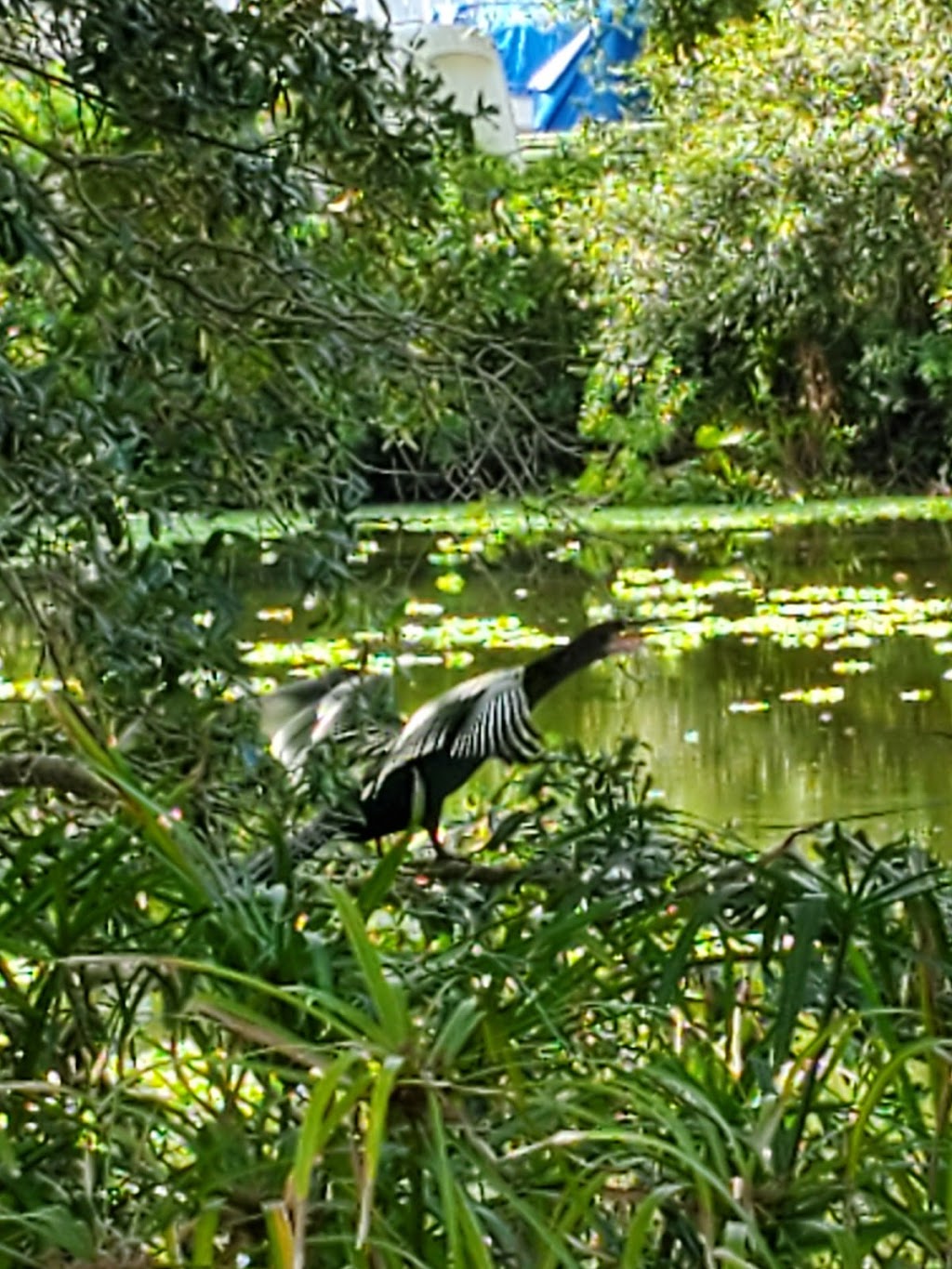 Hottins Trophies & Awards | 9275 Park Blvd N, Largo, FL 33777, USA | Phone: (727) 391-0904