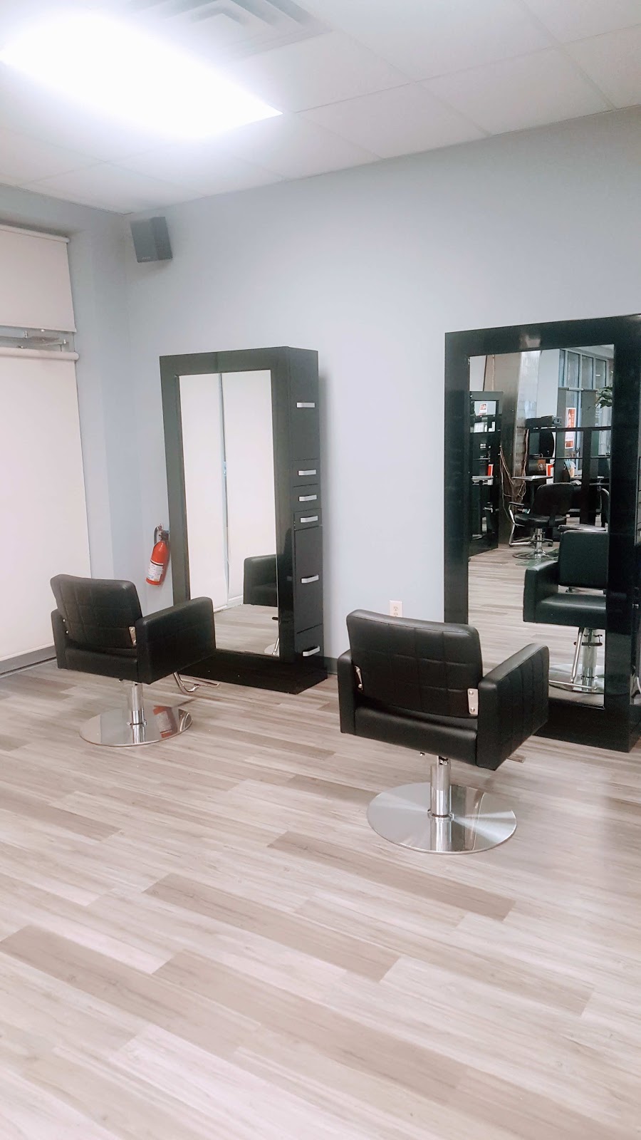 Monarch Salon | 1715 Thierer Rd, Madison, WI 53704, USA | Phone: (608) 242-8880