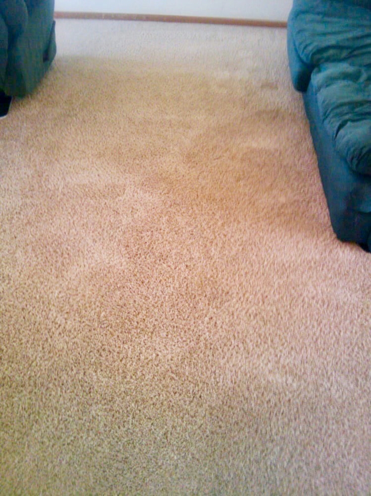 Andrews Carpet Cleaning Experts | 3985 S Lake Forest Dr, McKinney, TX 75070, USA | Phone: (972) 787-0715