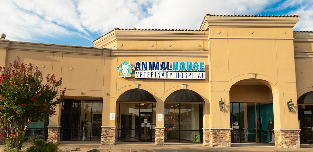 Animal House Veterinary Hospital | 4625 W Kenosha St, Broken Arrow, OK 74012, USA | Phone: (918) 957-5556