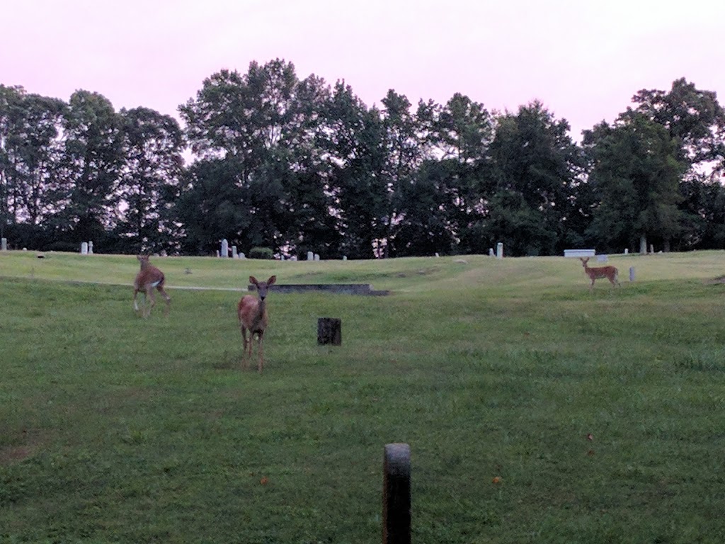 Mt Hope Cemetery | 120 Prospect Ave, Raleigh, NC 27603, USA | Phone: (919) 996-6548