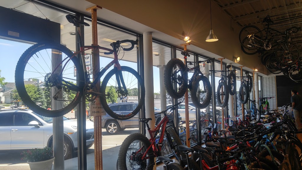 Tonka Cycle & Ski | 16 Shady Oak Rd, Hopkins, MN 55343, USA | Phone: (952) 938-8336