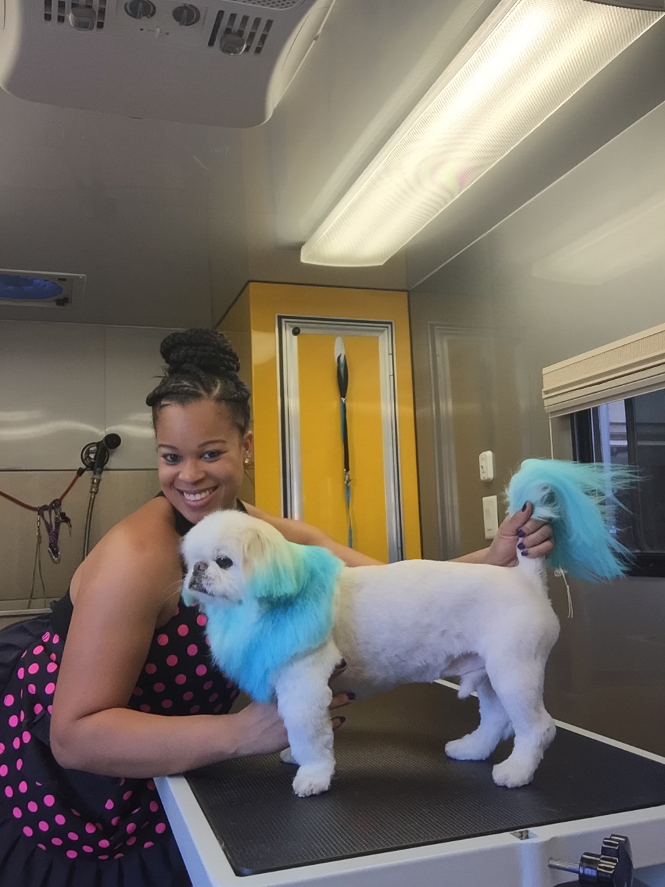 My Pookies Spaw | Mobile Grooming | 1421 N Wanda Rd Suite #120-V24, Orange, CA 92867, USA | Phone: (714) 628-6135