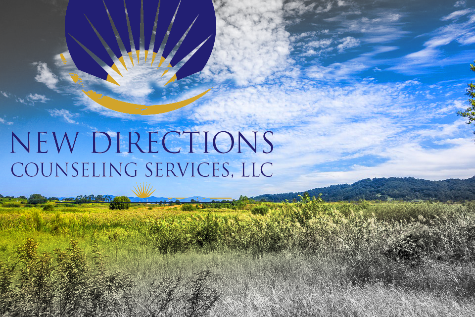 New Directions Counseling Services, LLC | 117 VIP Drive # 310, Wexford, PA 15090, USA | Phone: (724) 934-3905