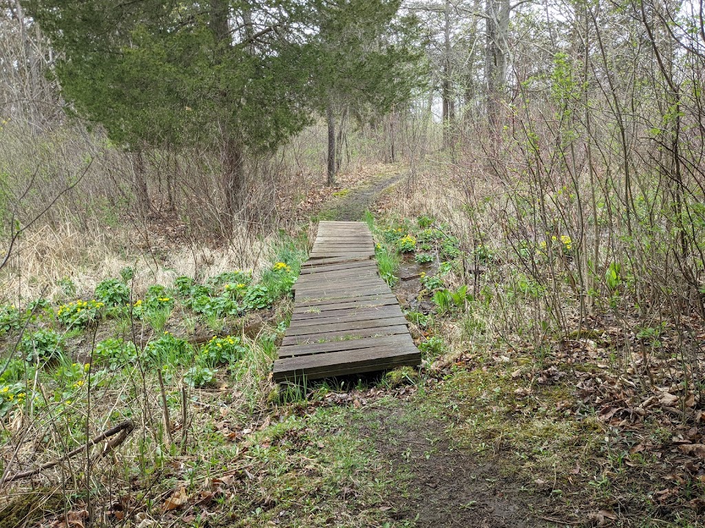 Beechwood Nature Preserve - ACRES Land Trust | 29 Ln 150 Little Otter Lake, Fremont, IN 46737, USA | Phone: (260) 637-2273