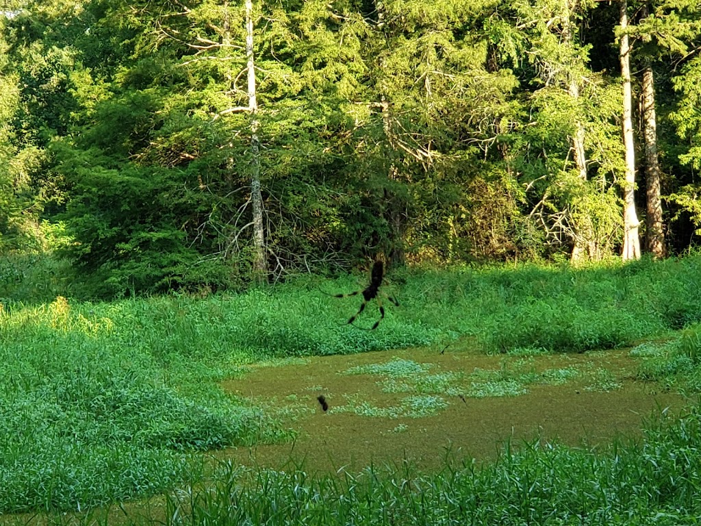 Northlake Nature Center | 23135 U.S. Hwy 190, Mandeville, LA 70448, USA | Phone: (985) 626-1238