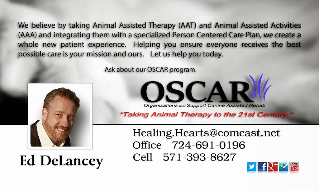 Healing Hearts Animal Therapy International | 102 Lycippus Hardware Rd, Latrobe, PA 15650, USA | Phone: (724) 691-0196