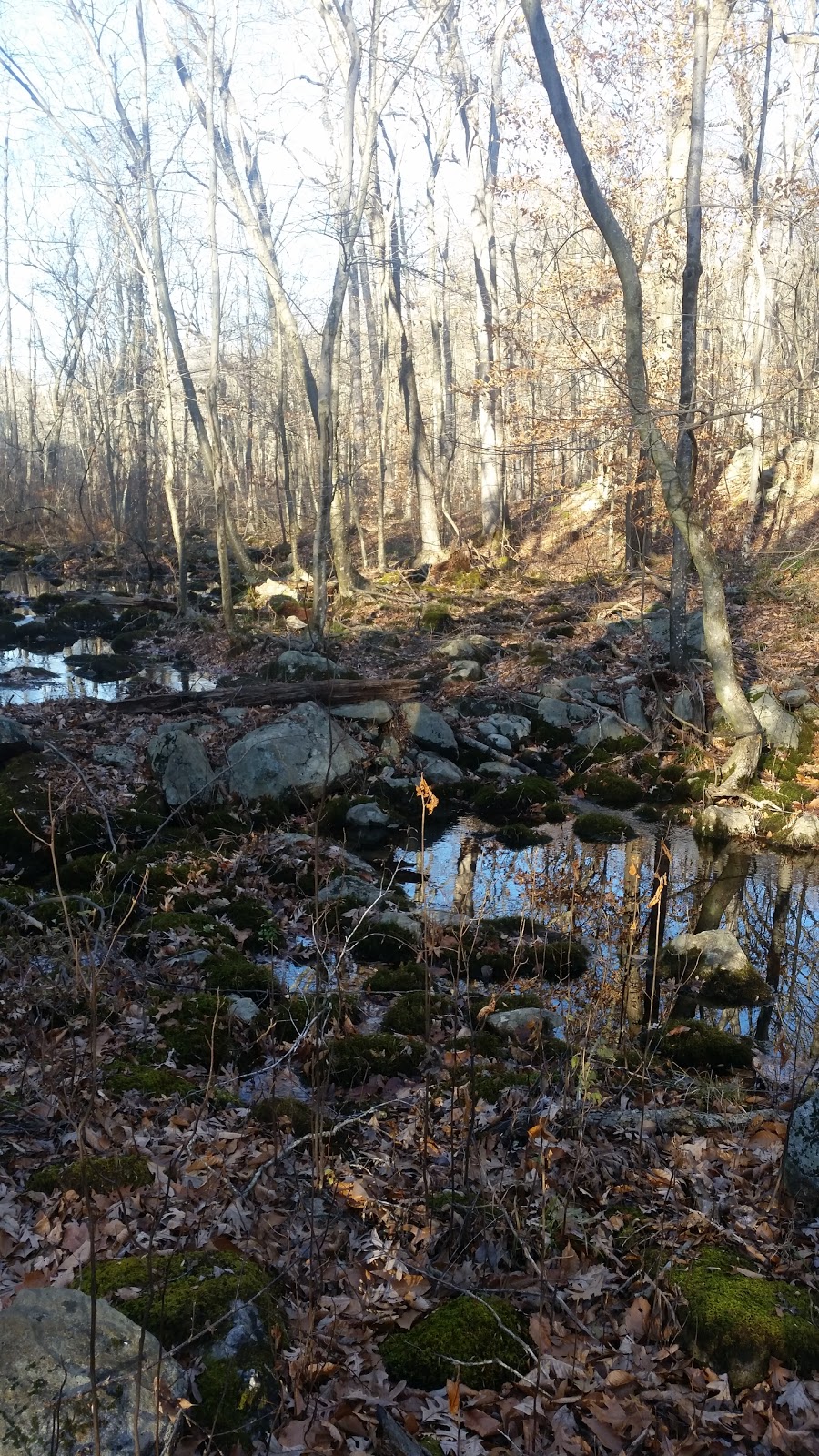 Devils Den Preserve | 33 Pent Rd, Weston, CT 06883, USA | Phone: (203) 226-4991