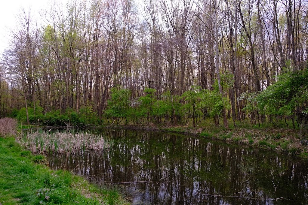 Overlook Trailhead | Ohio & Erie Canal Towpath Trail, Akron, OH 44310, USA | Phone: (330) 867-5511