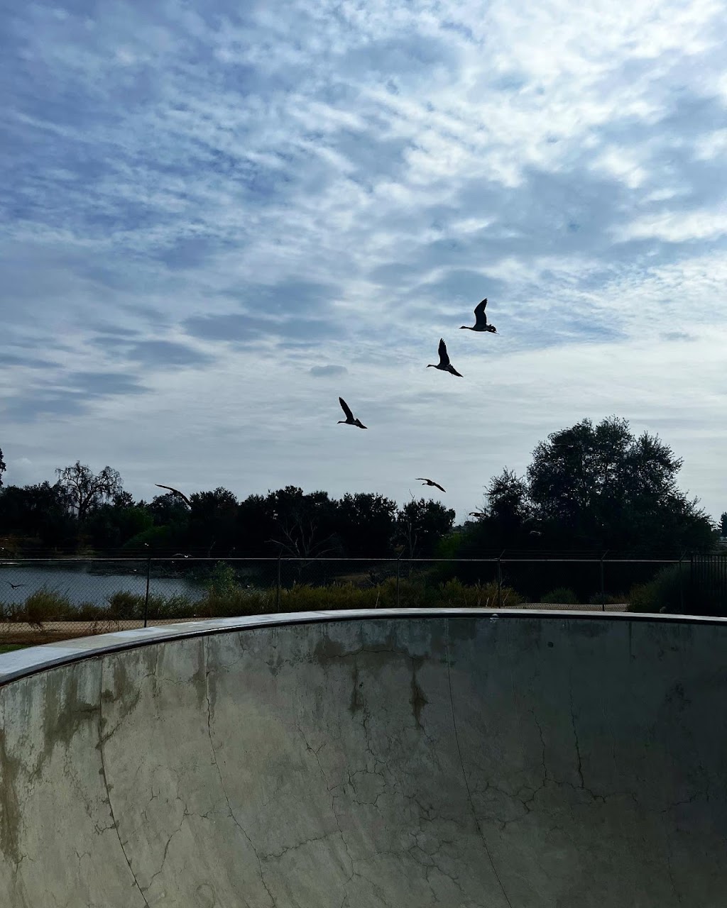 Skate Park | 1501 W Henderson Ave, Porterville, CA 93257, USA | Phone: (559) 791-7695