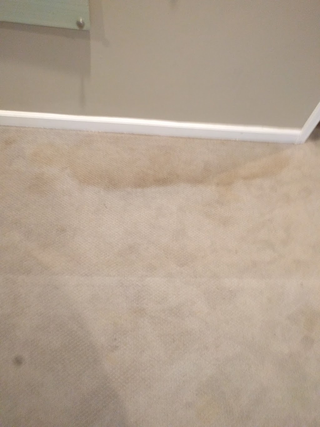 Force Carpet Cleaning & Water Restoration | 4574 Elizabeth Lake Rd, Waterford Twp, MI 48328, USA | Phone: (248) 892-9799