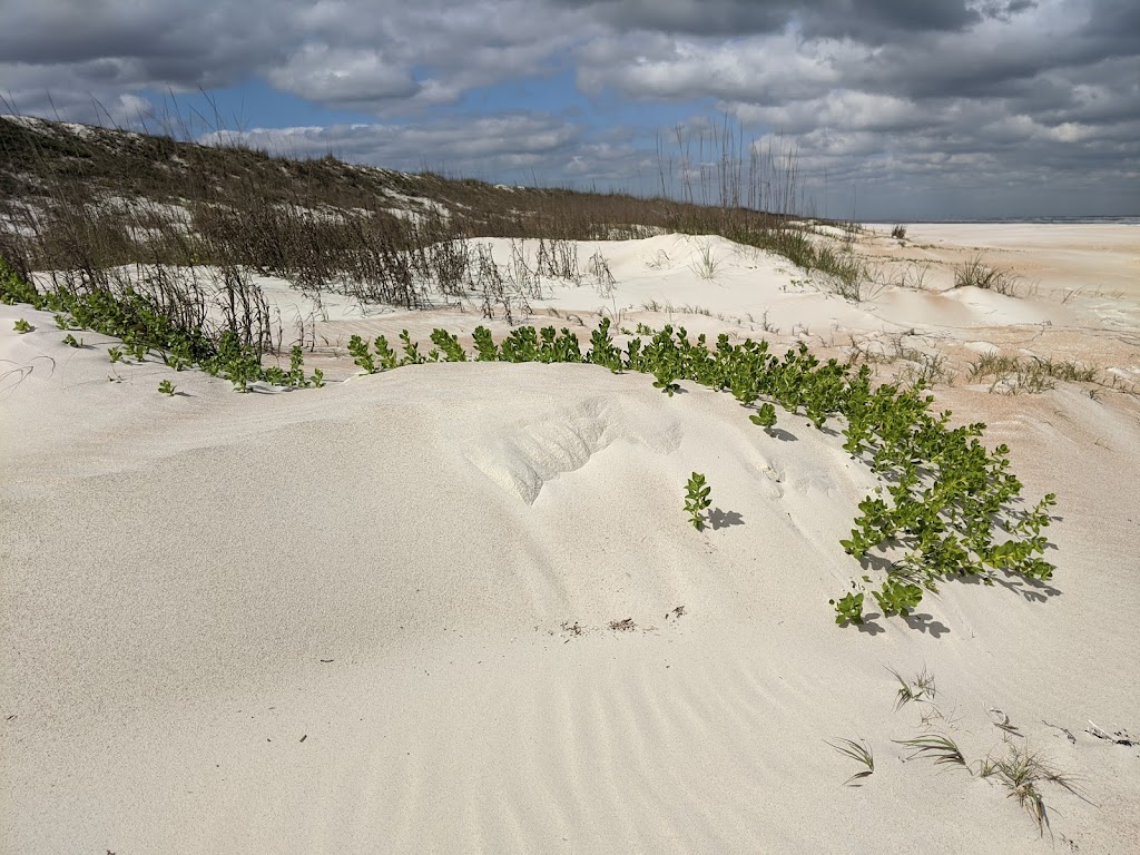 Anastasia State Park | 300 Anastasia Park Rd, St. Augustine, FL 32080 | Phone: (904) 461-2033