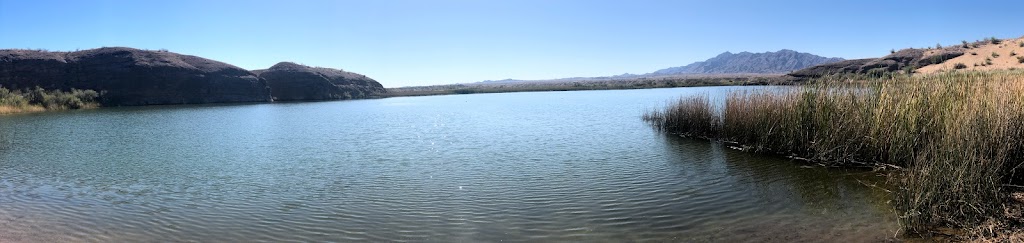 Castle Mountains National Monument | Barstow, CA 92311, USA | Phone: (760) 252-6100