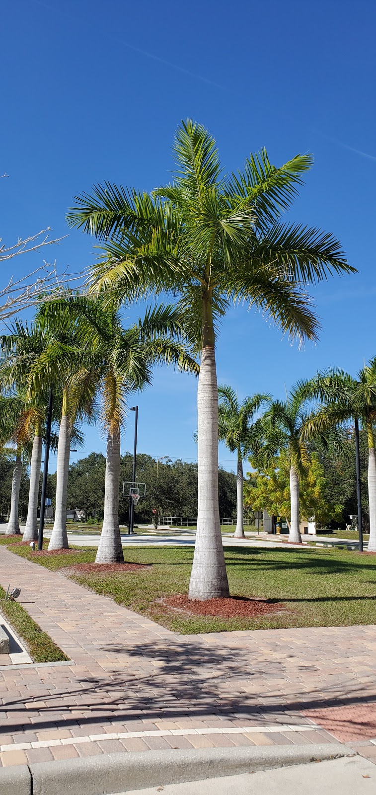Islamic Society of Sarasota Bradenton | 4350 N Lockwood Ridge Rd, Sarasota, FL 34234, USA | Phone: (941) 351-3393