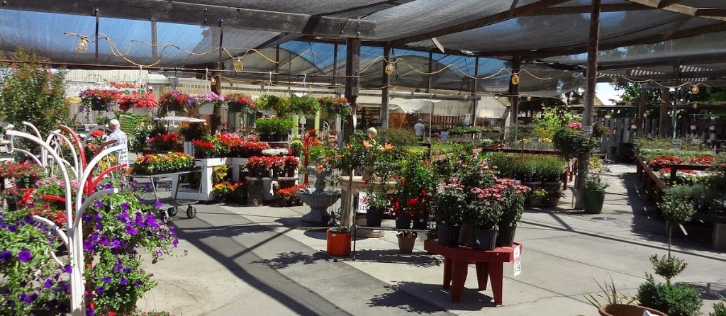 Park Greenhouse Garden Center | 12813 W Ripon Rd, Ripon, CA 95366, USA | Phone: (209) 599-3410