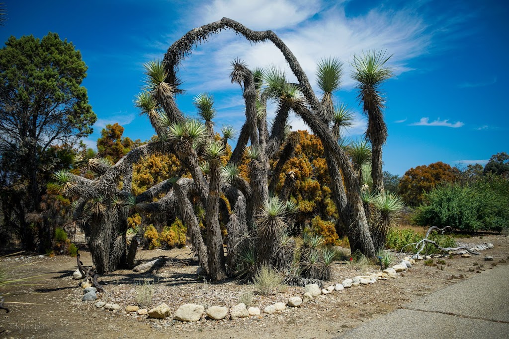 California Botanic Garden | 1500 N College Ave, Claremont, CA 91711, USA | Phone: (909) 625-8767