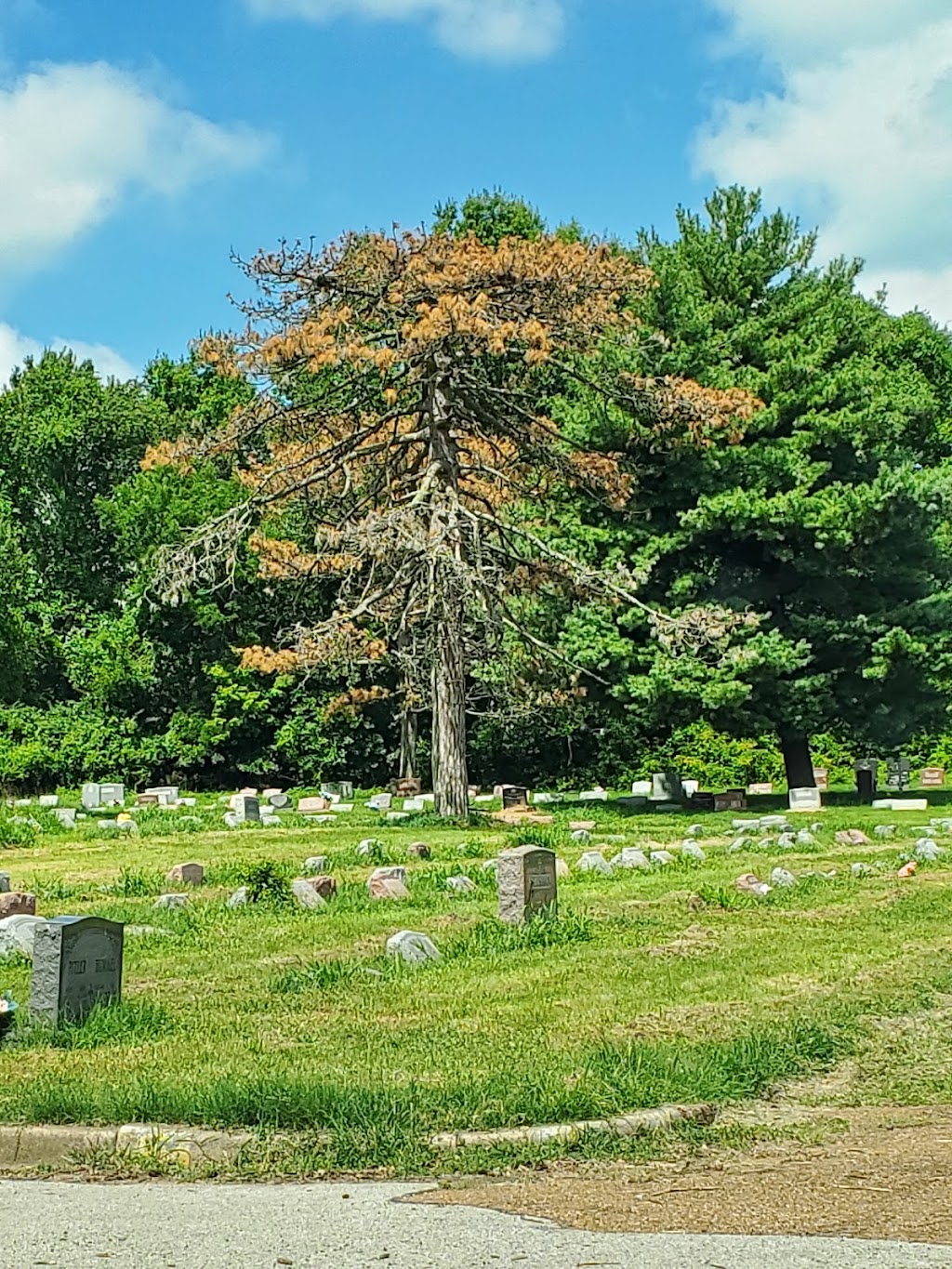 New St Marcus Cemetery | 7901 Gravois Rd, St. Louis, MO 63123, USA | Phone: (314) 352-0227