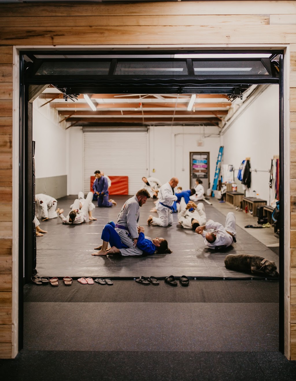 TeamAlves Brazilian Jiu-Jitsu school | 5566 Palmer Blvd, Sarasota, FL 34232, USA | Phone: (941) 735-0808