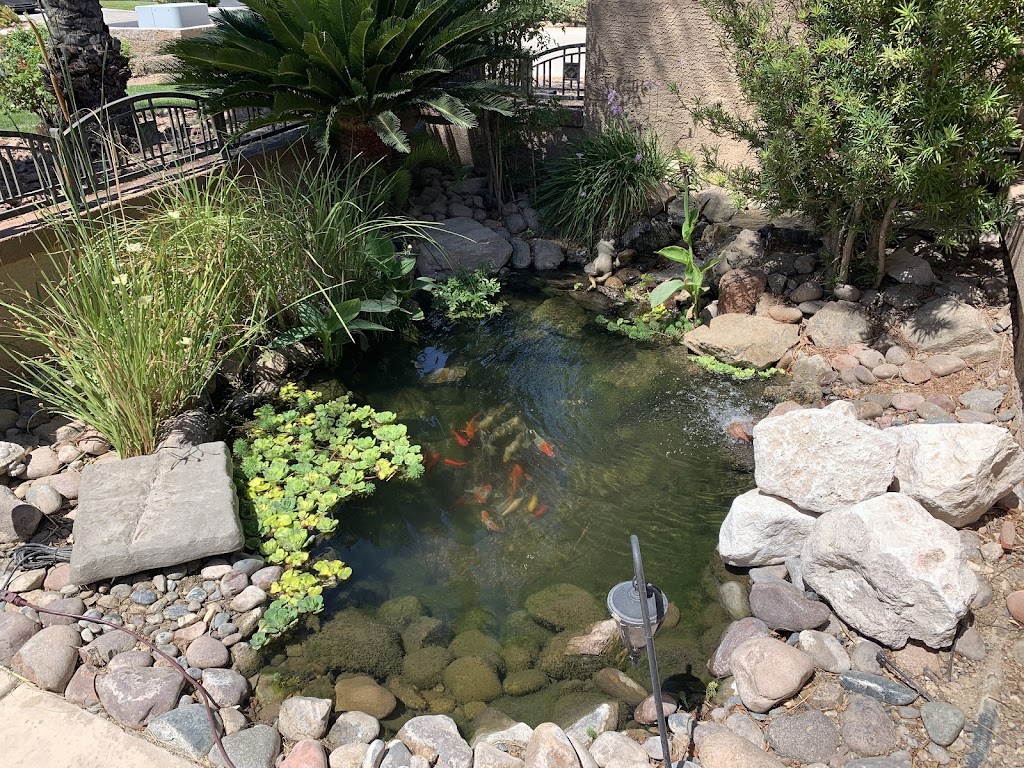 Mikes Aquarium Maintenance | 8000 Sparkling Creek Ave, Las Vegas, NV 89143, USA | Phone: (702) 353-5264