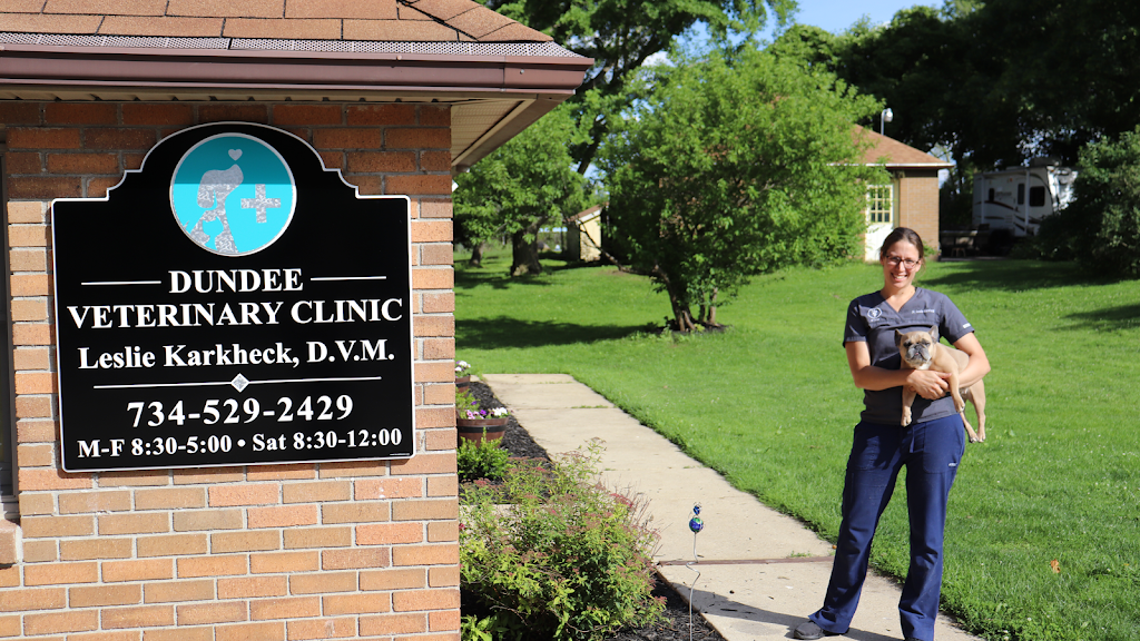 Dundee Veterinary Clinic | 601 Riley St, Dundee, MI 48131, USA | Phone: (734) 529-2429