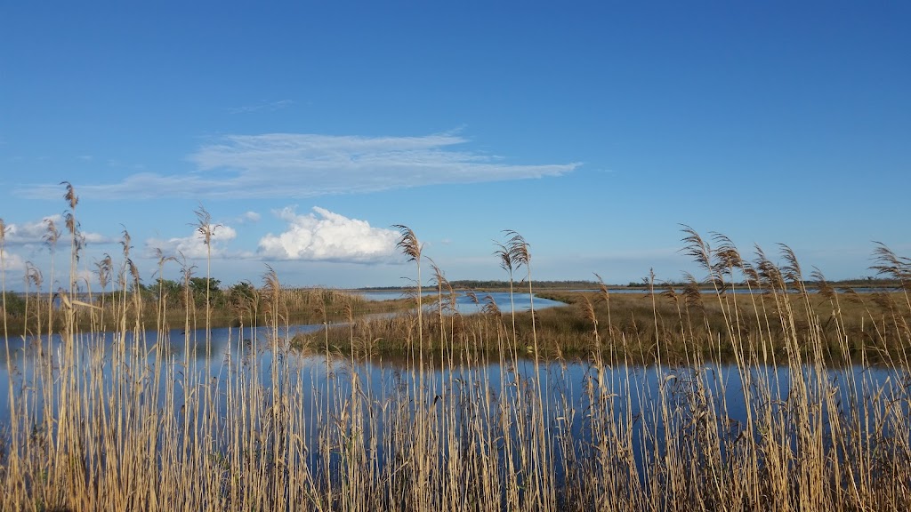 Big Branch Marsh National Wildlife Refuge | 61389 LA-434, Lacombe, LA 70445, USA | Phone: (985) 882-2000