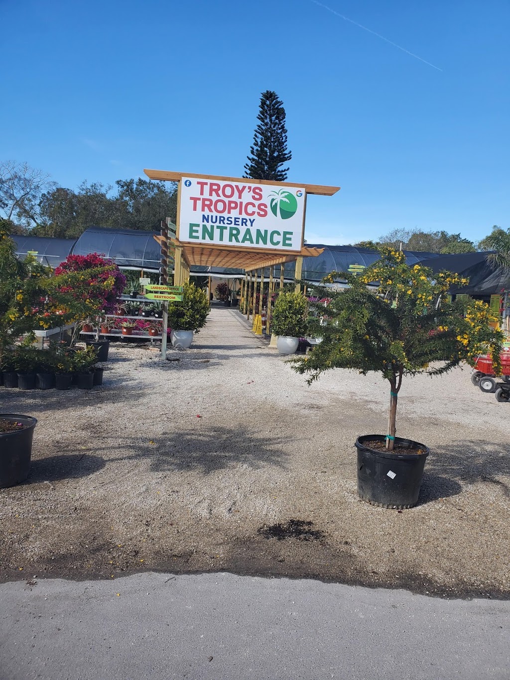 TROYS TROPICS INC | 5212 Proctor Rd, Sarasota, FL 34233 | Phone: (941) 923-3756