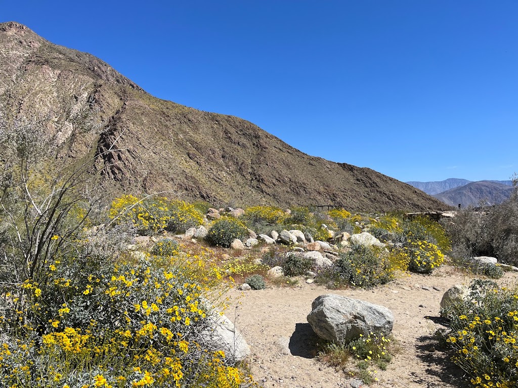 Borrego Palm Canyon Trailhead & Parking | Unnamed Road, Borrego Springs, CA 92004, USA | Phone: (760) 767-4037