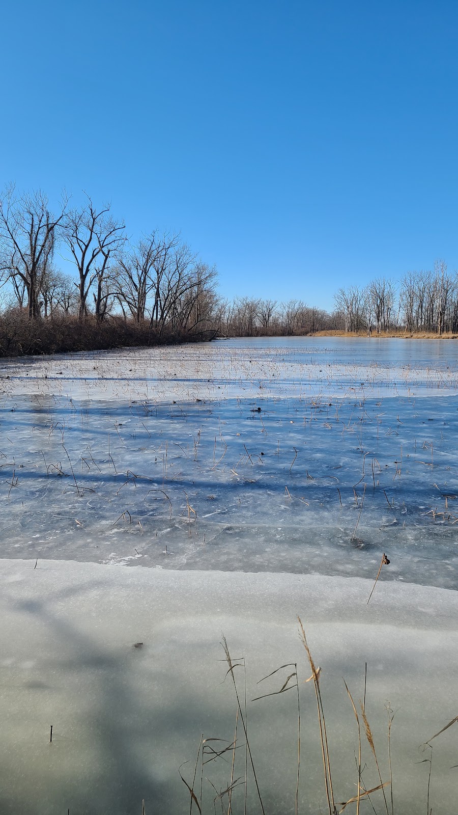 William C. Sterling State Park | 2800 State Park Rd, Monroe, MI 48162, USA | Phone: (734) 289-2715