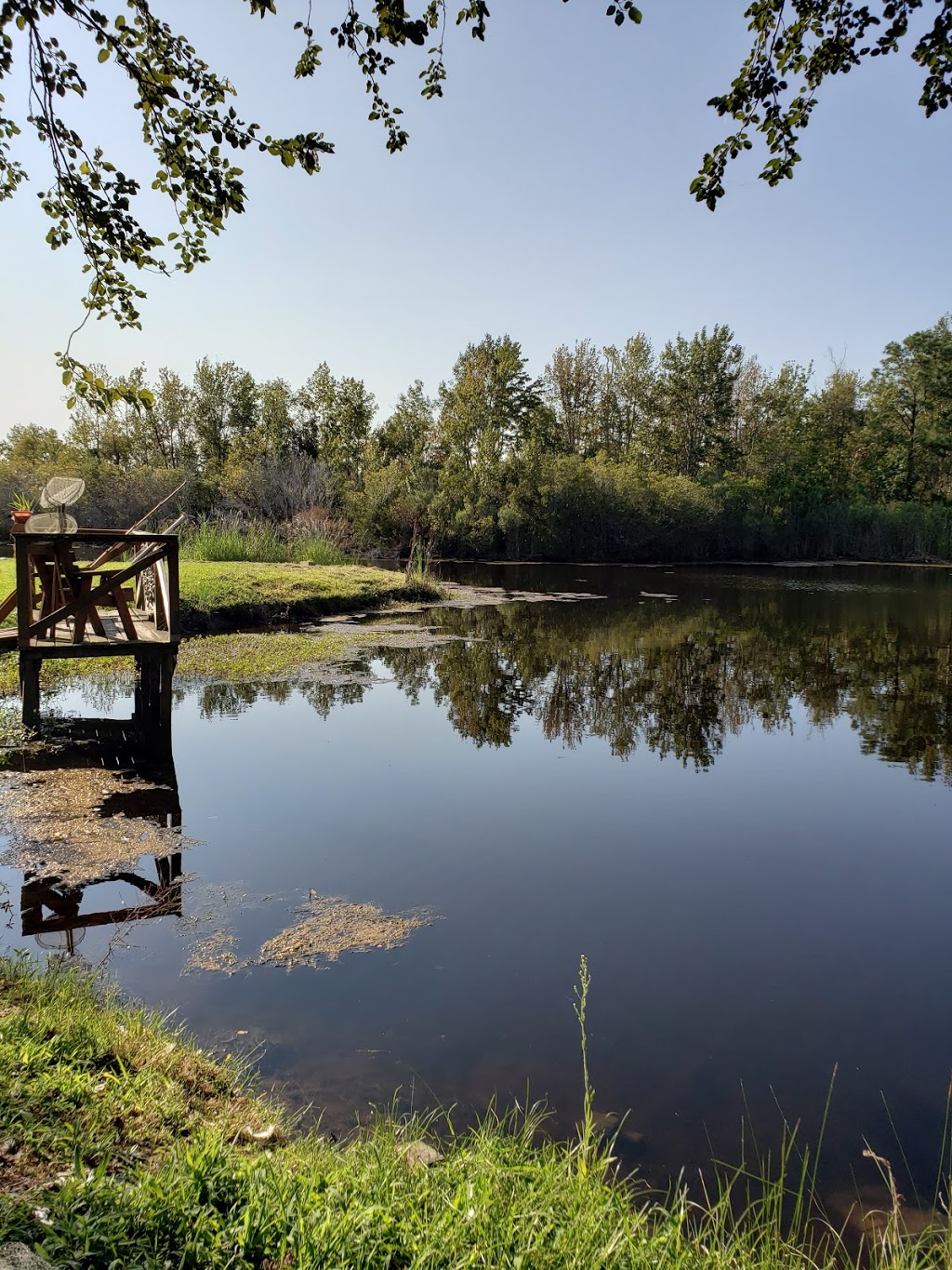 Sandy Point Resort Campgrounds | 176 Sandy Point Dr, Knotts Island, NC 27950, USA | Phone: (252) 429-3094