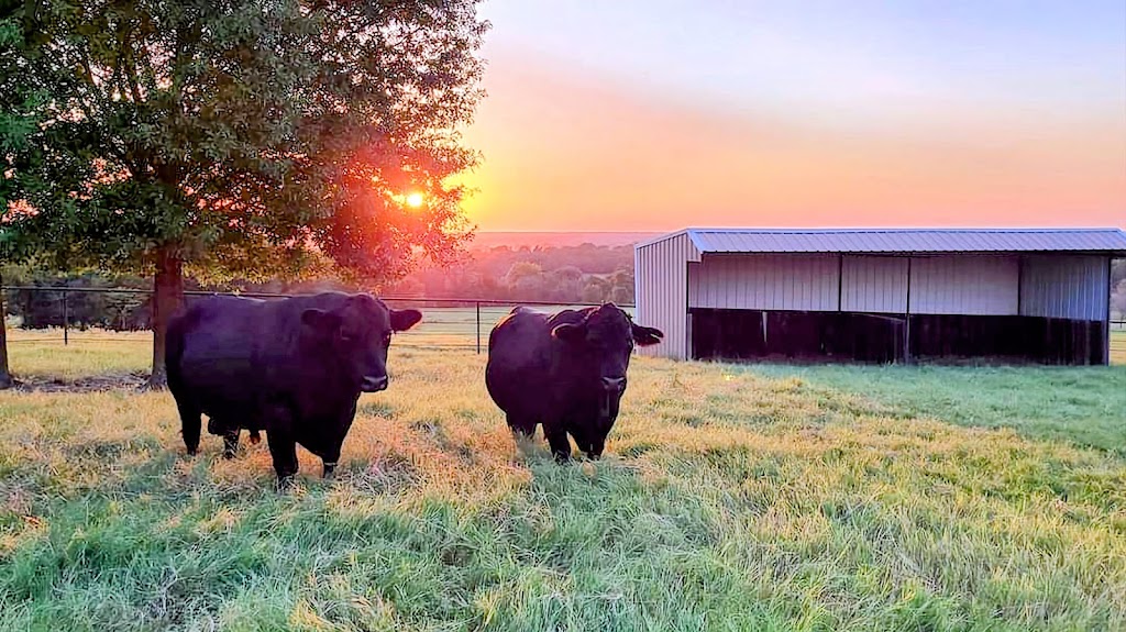 HLR Beef Shop | 111 US-175 W, Eustace, TX 75124, USA | Phone: (903) 425-9014