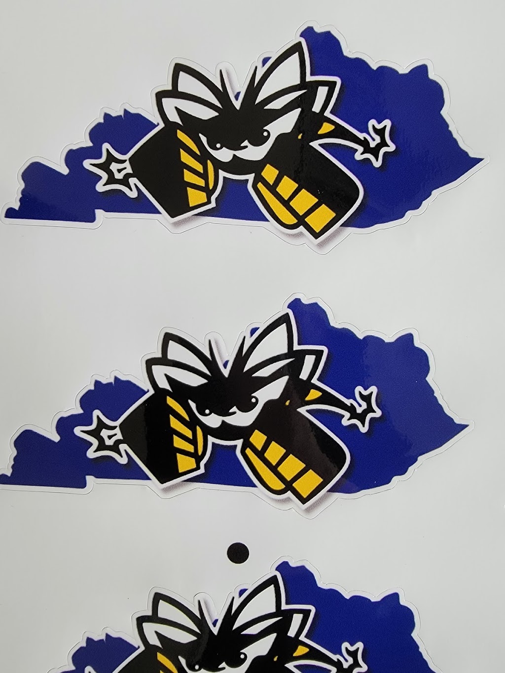 Bluegrass American Killer Bees BJJ | 103 Barnes Rd Suite C, Williamstown, KY 41097, USA | Phone: (859) 393-4241