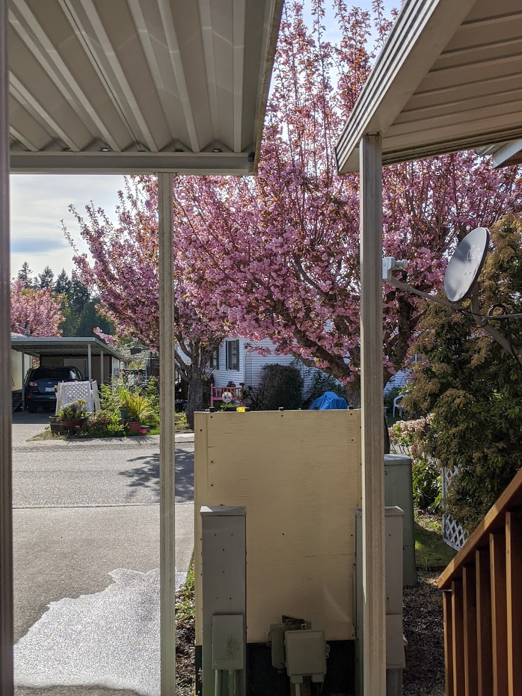 Orchard Bluff Mobile Home | 1345 SE Carl Pickel Dr, Port Orchard, WA 98366, USA | Phone: (360) 895-0693
