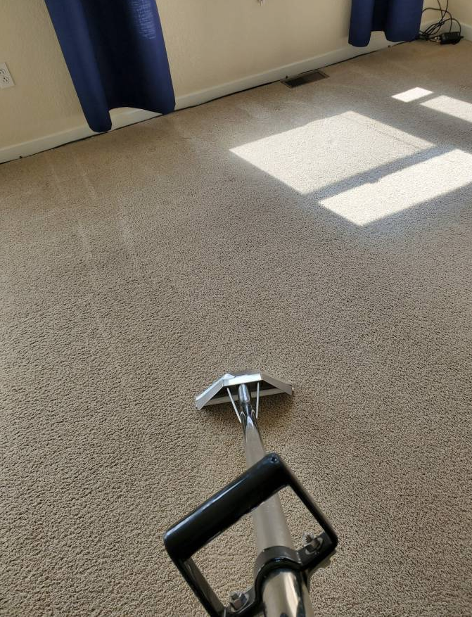 Peter’s Steam Carpet Cleaning | 979 W L St, Benicia, CA 94510, USA | Phone: (707) 706-0898