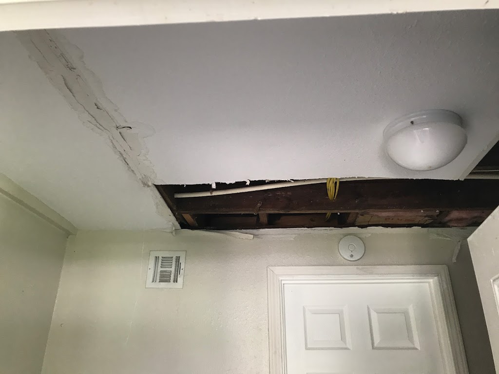 Tiger Siding & Renovations LLC | 7708 Morris St, Metairie, LA 70003, USA | Phone: (504) 915-5383