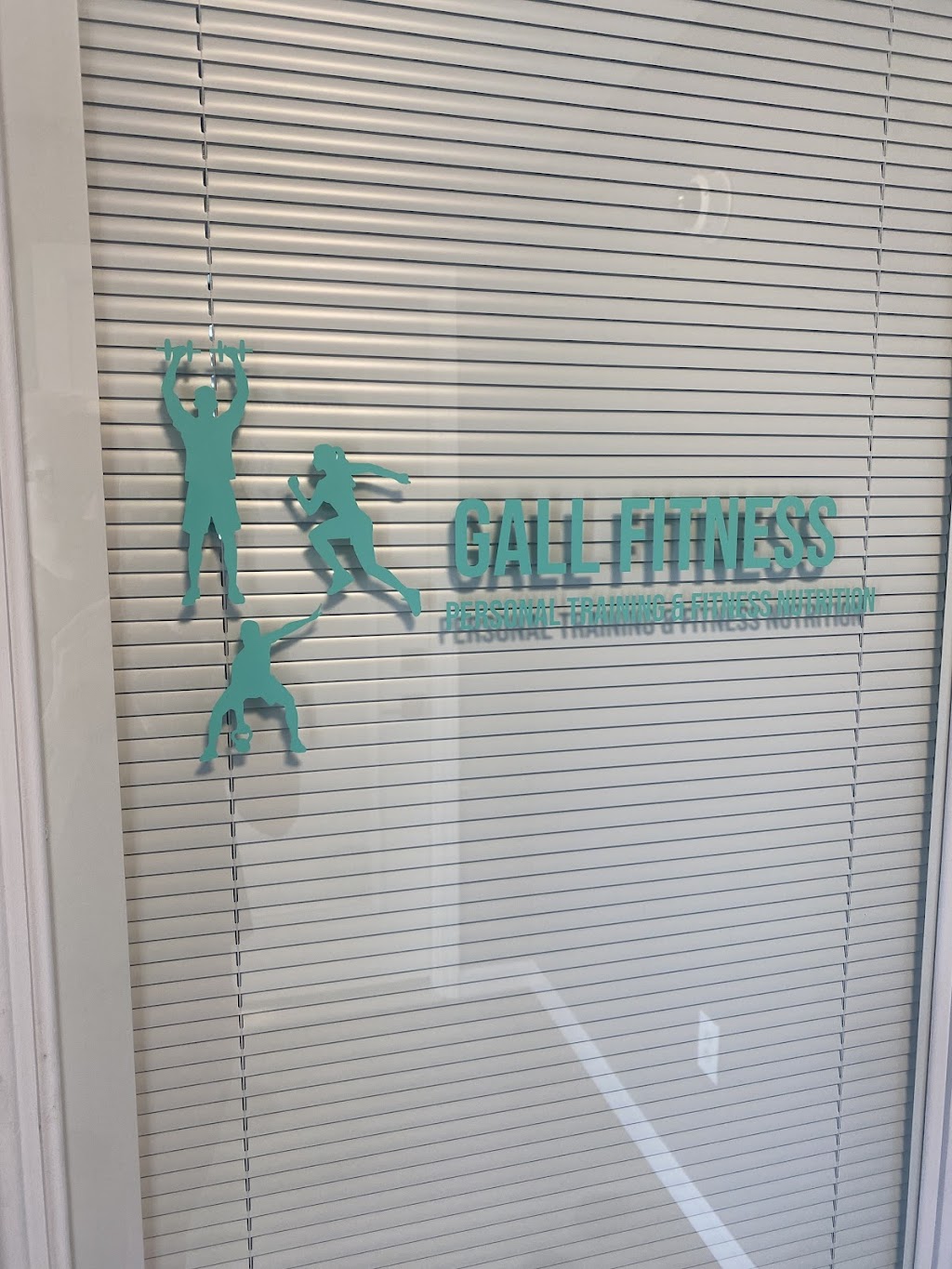 Gall Fitness | 17719 St Rose Rd, Breese, IL 62230, USA | Phone: (314) 313-2823