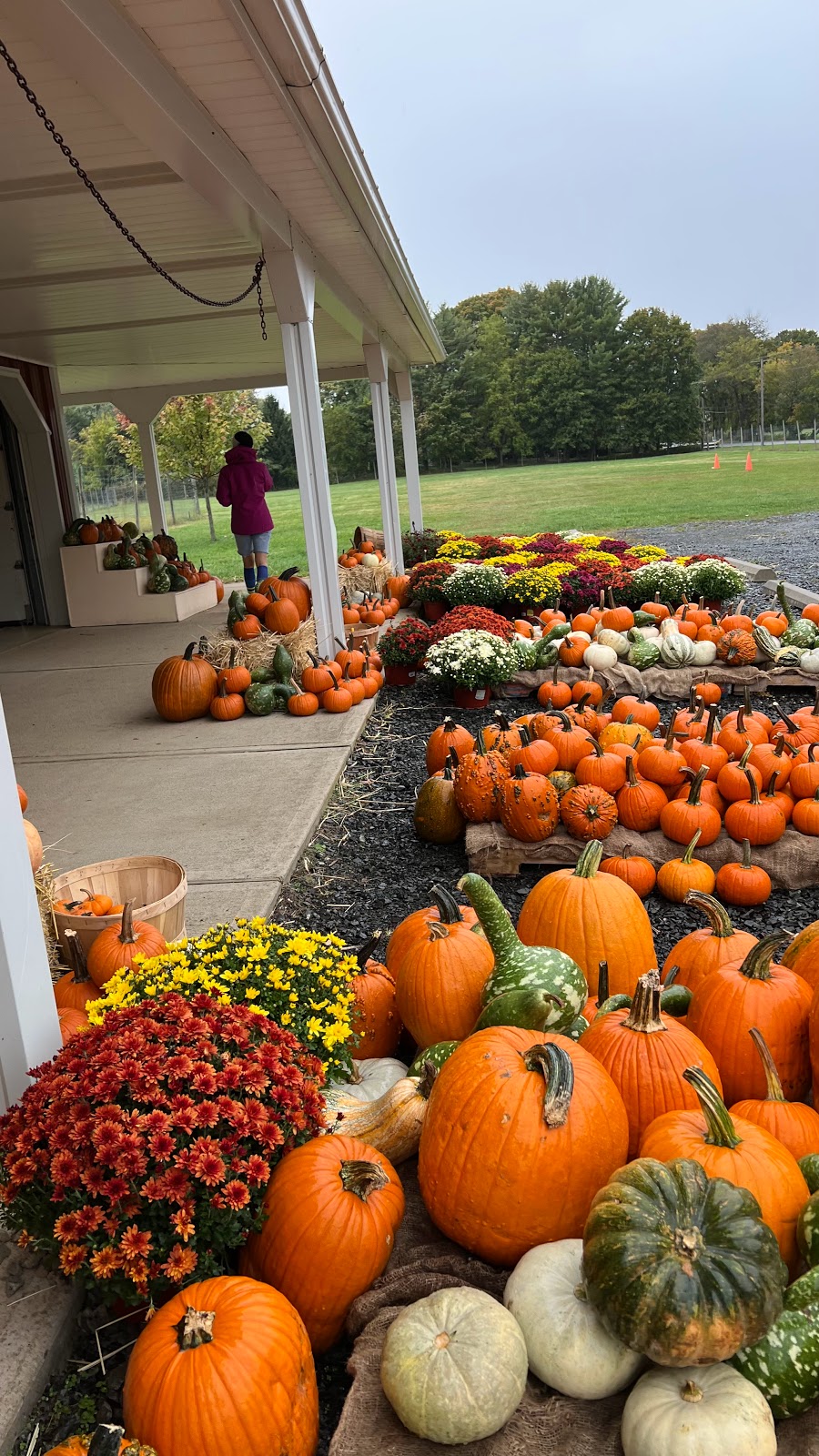 Melicks Town Farm - Califon Orchards | 472 County Rd 513, Califon, NJ 07830, USA | Phone: (908) 832-2905